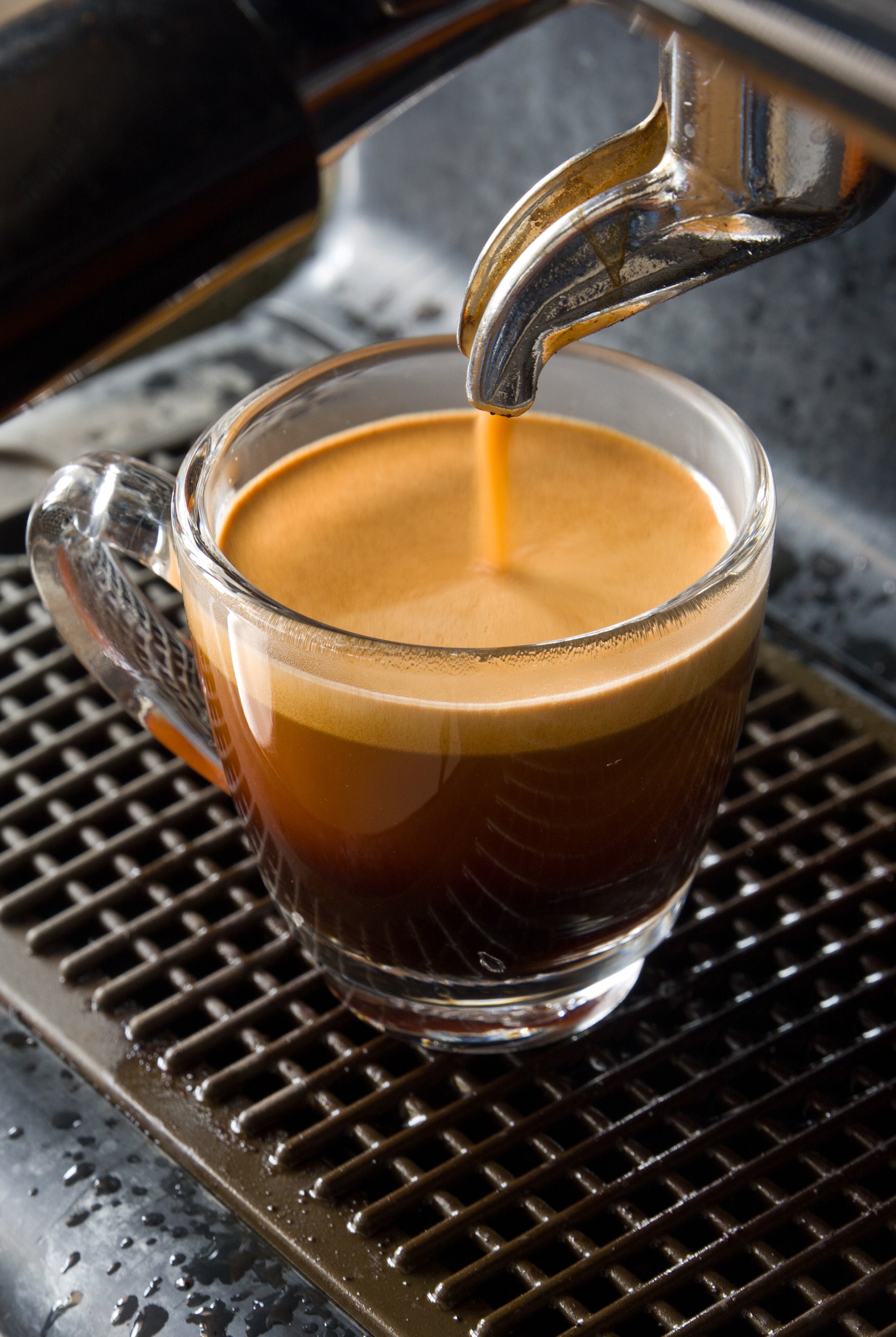 dc Coffee Espresso Roast Single Origin El Salvador being poured into glass